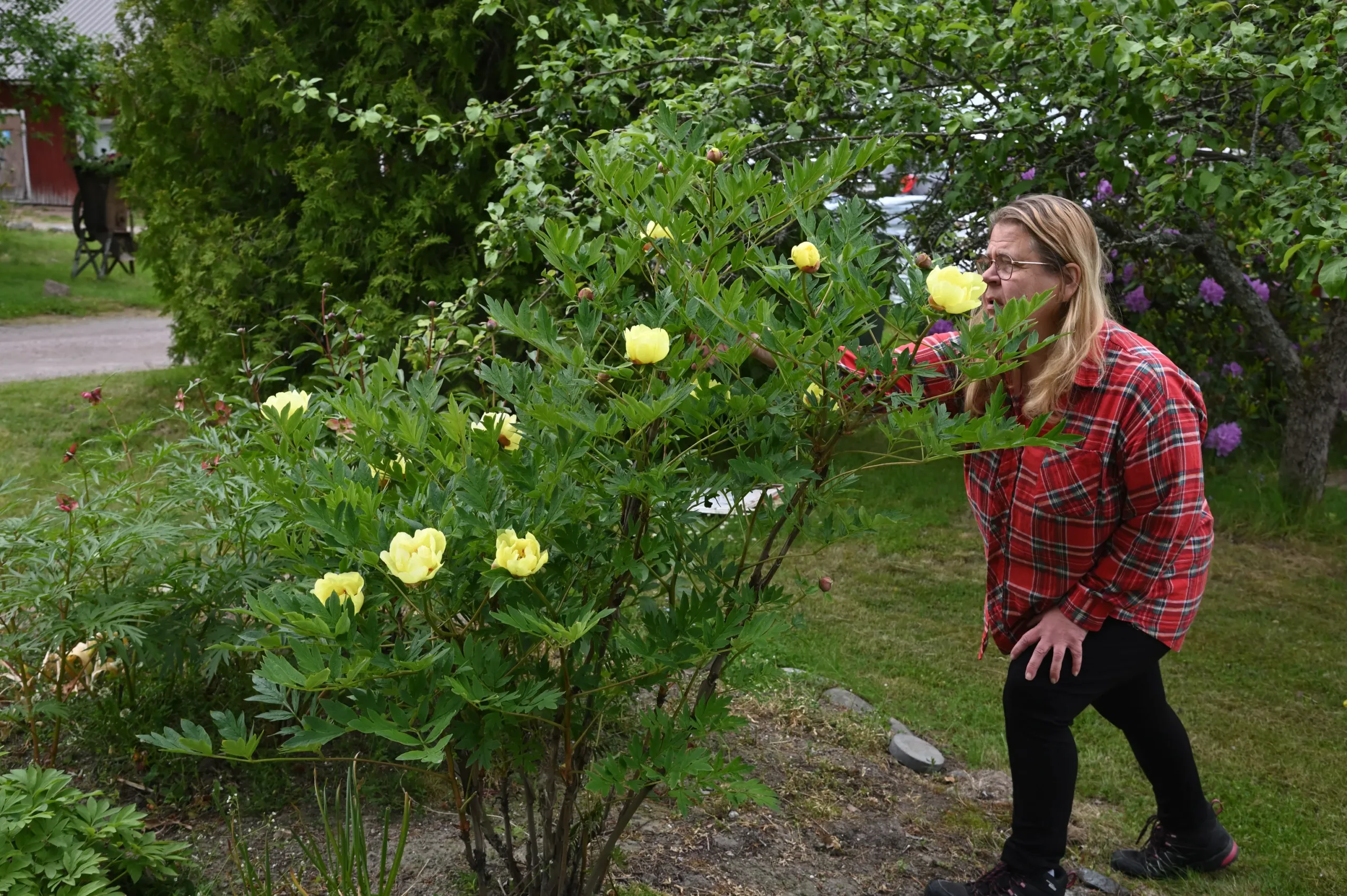 Souvenir de Lothar Parlasca - Image 3