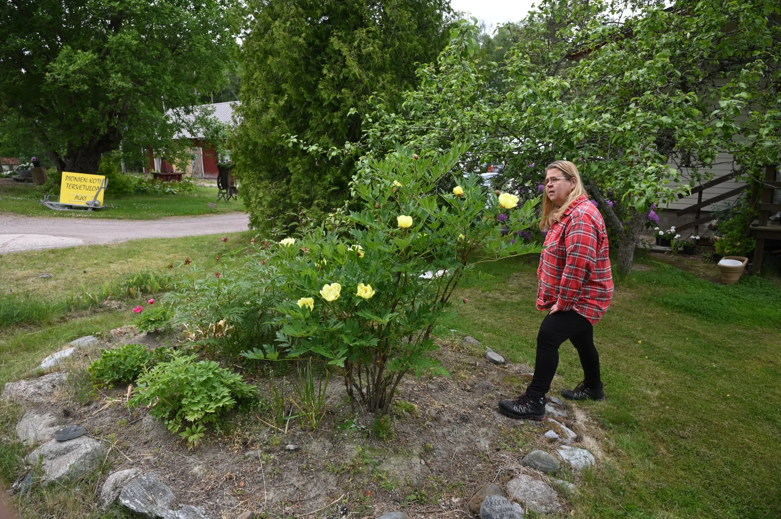 Souvenir de Lothar Parlasca - Image 4