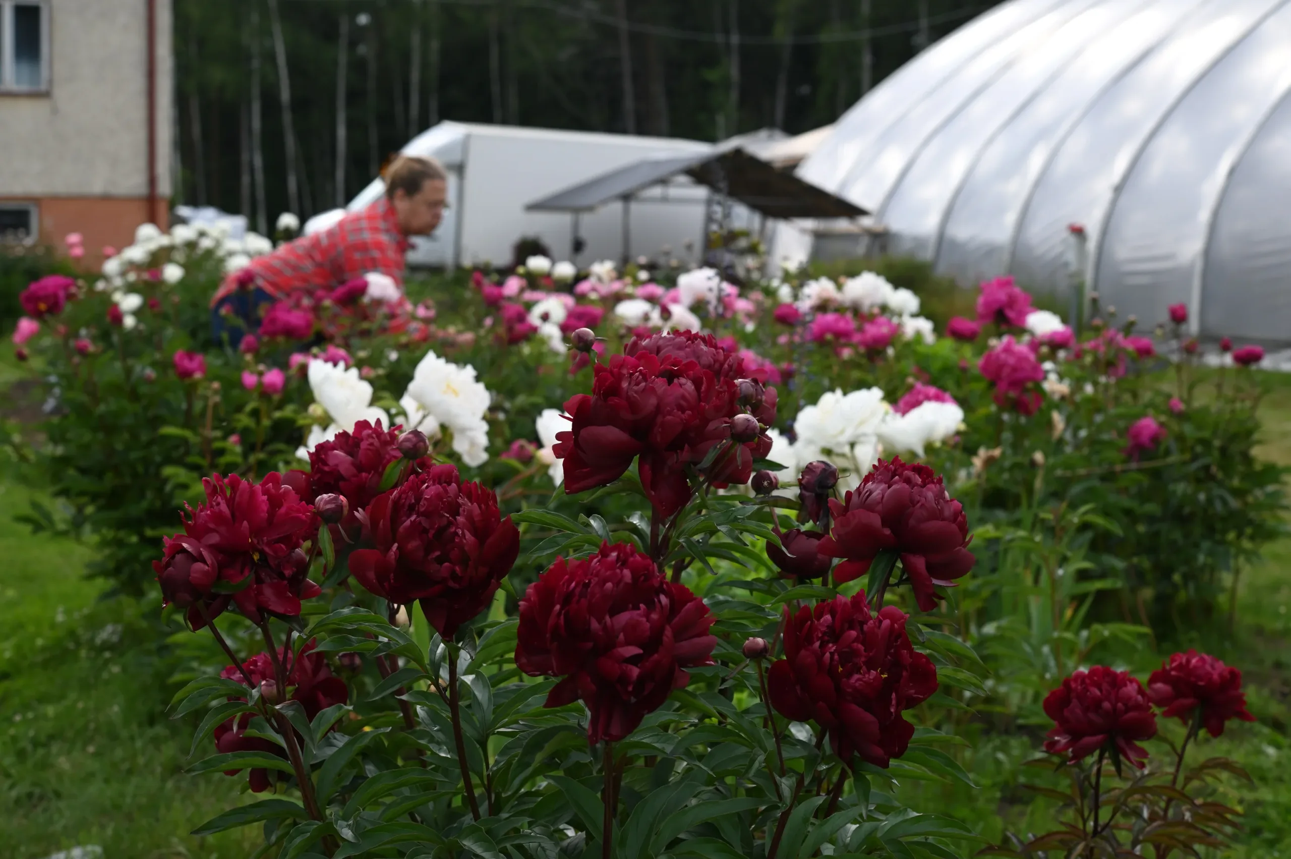 Peter Brand - Image 5