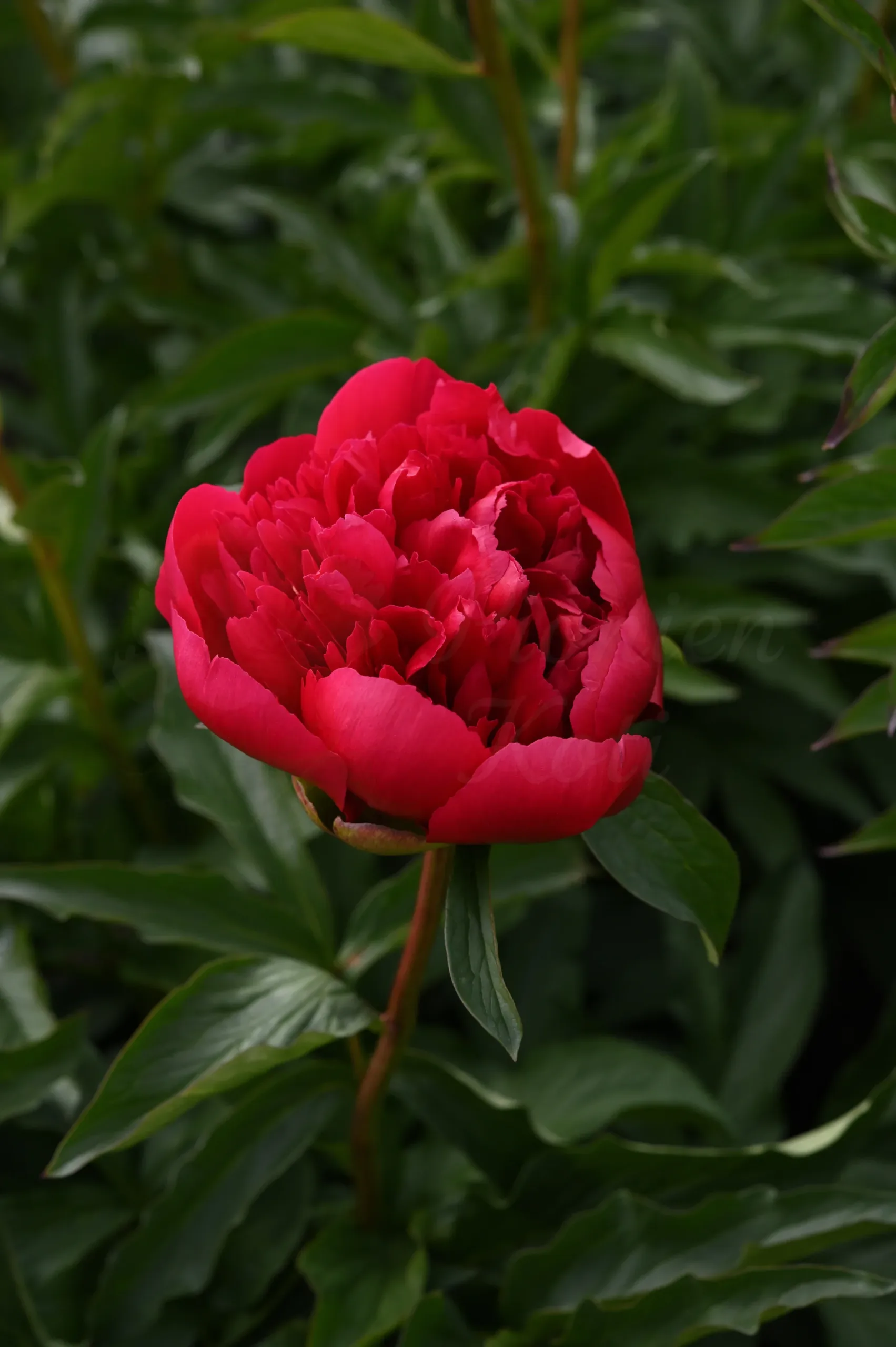 Many Happy Returns - Image 11