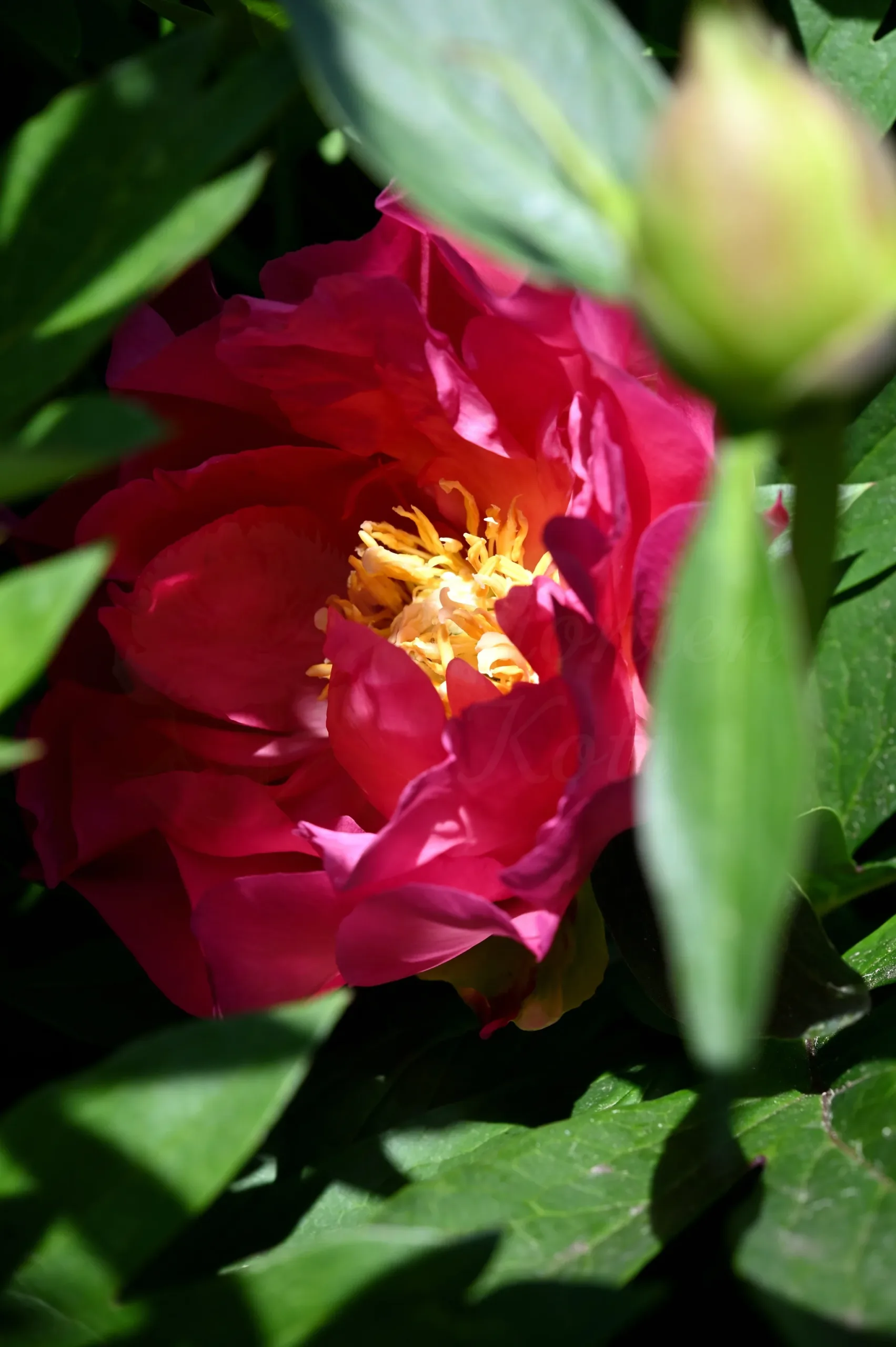 New Millenium - Image 5