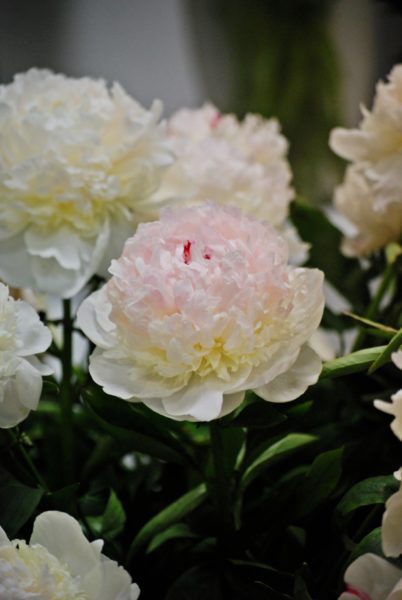 Madame de Verneville