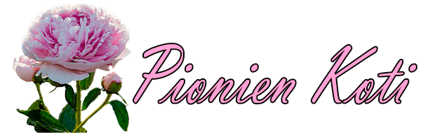 Pionien Koti