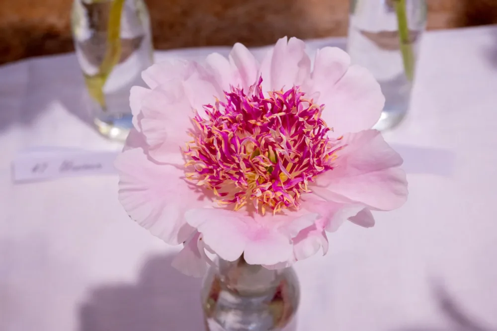Do Tell - Image 11