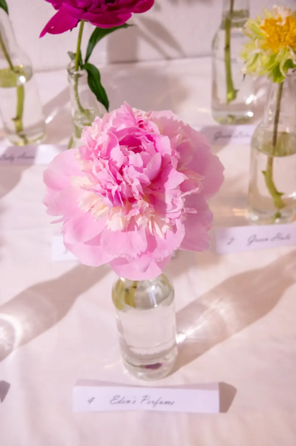 Eden's Perfume - Image 7
