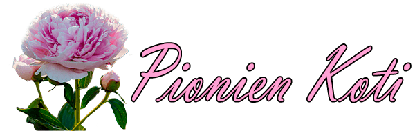 Pionien Koti