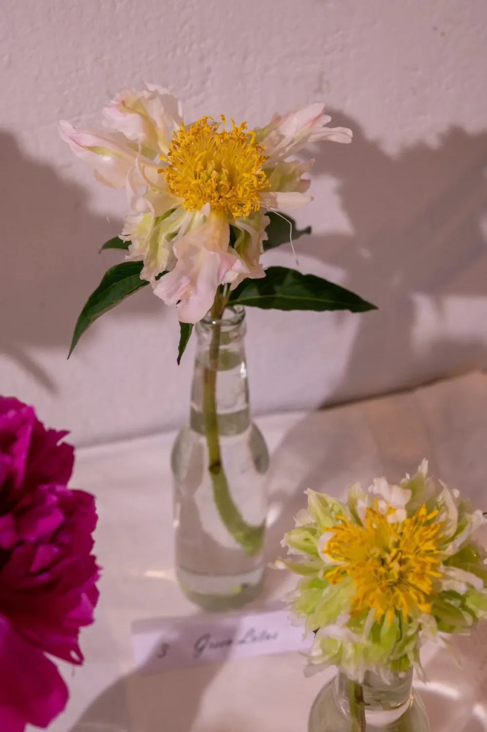 Green Lotus - Image 5