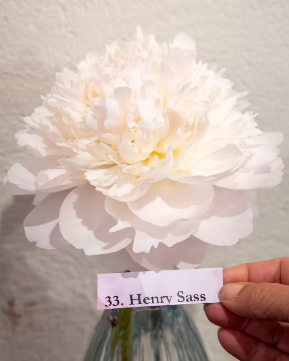Henry Sass - Image 5