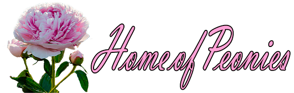 Home of Peonies