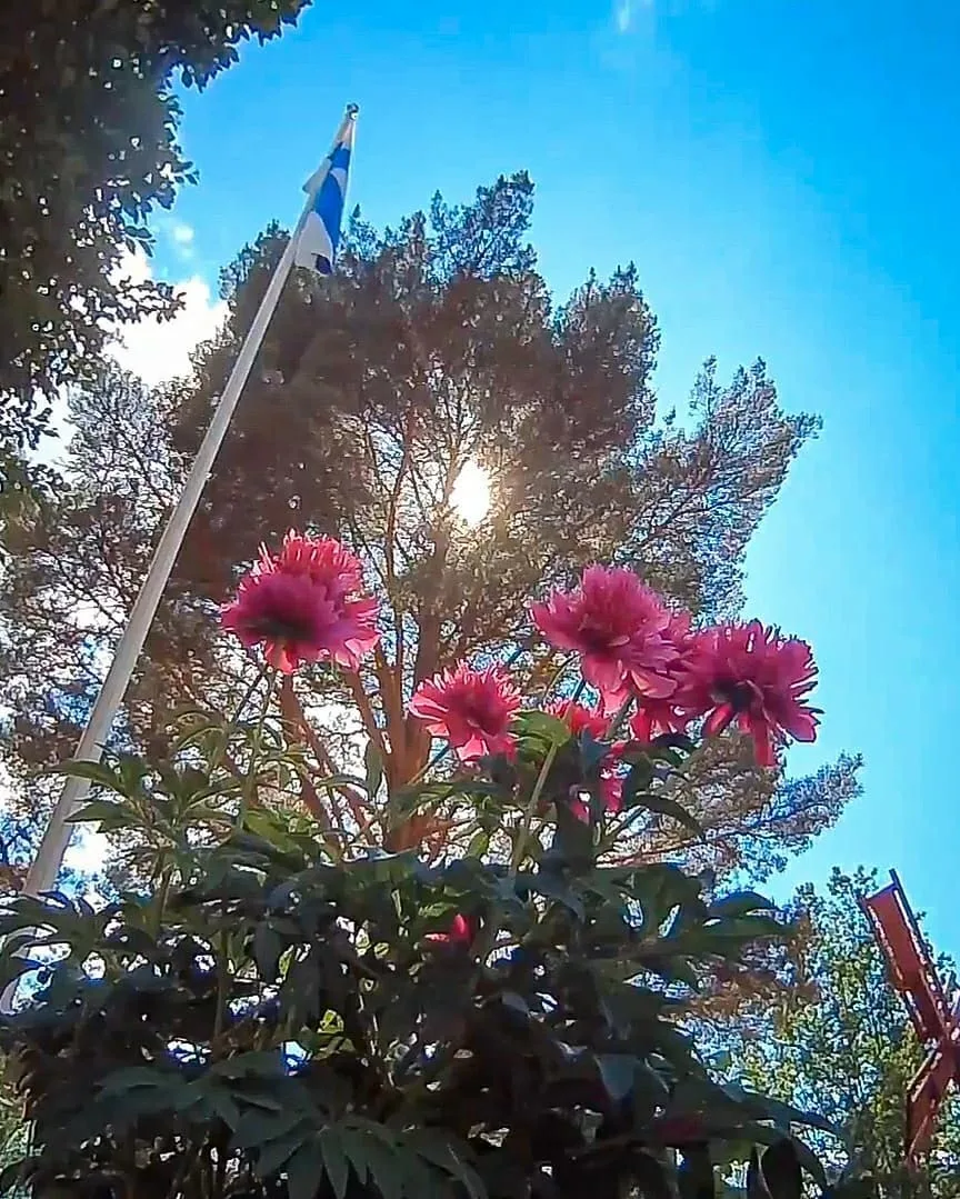 Juhannuspioni - Image 3