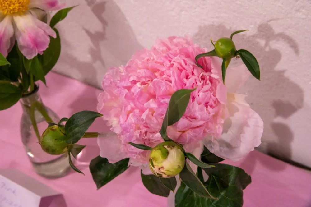 Raspberry Sundae - Image 4