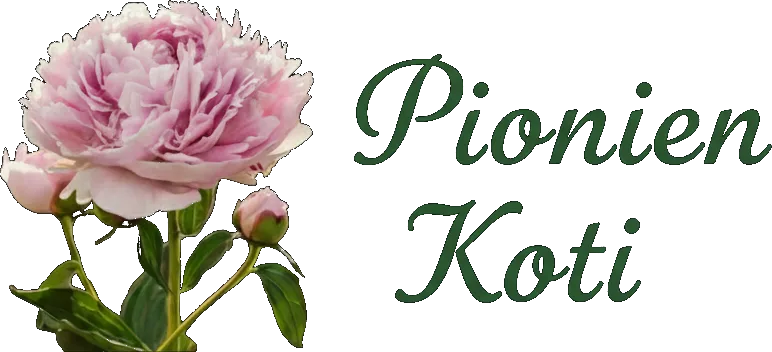 Pionien Koti – pioni.fi