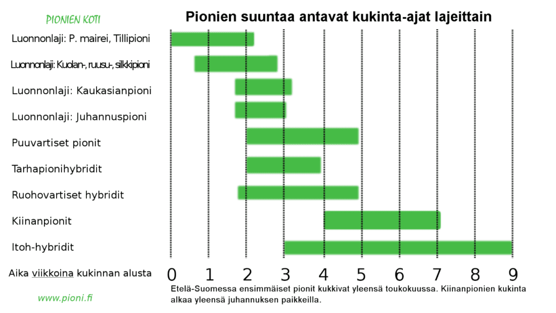 Pionien Koti - Kuvat