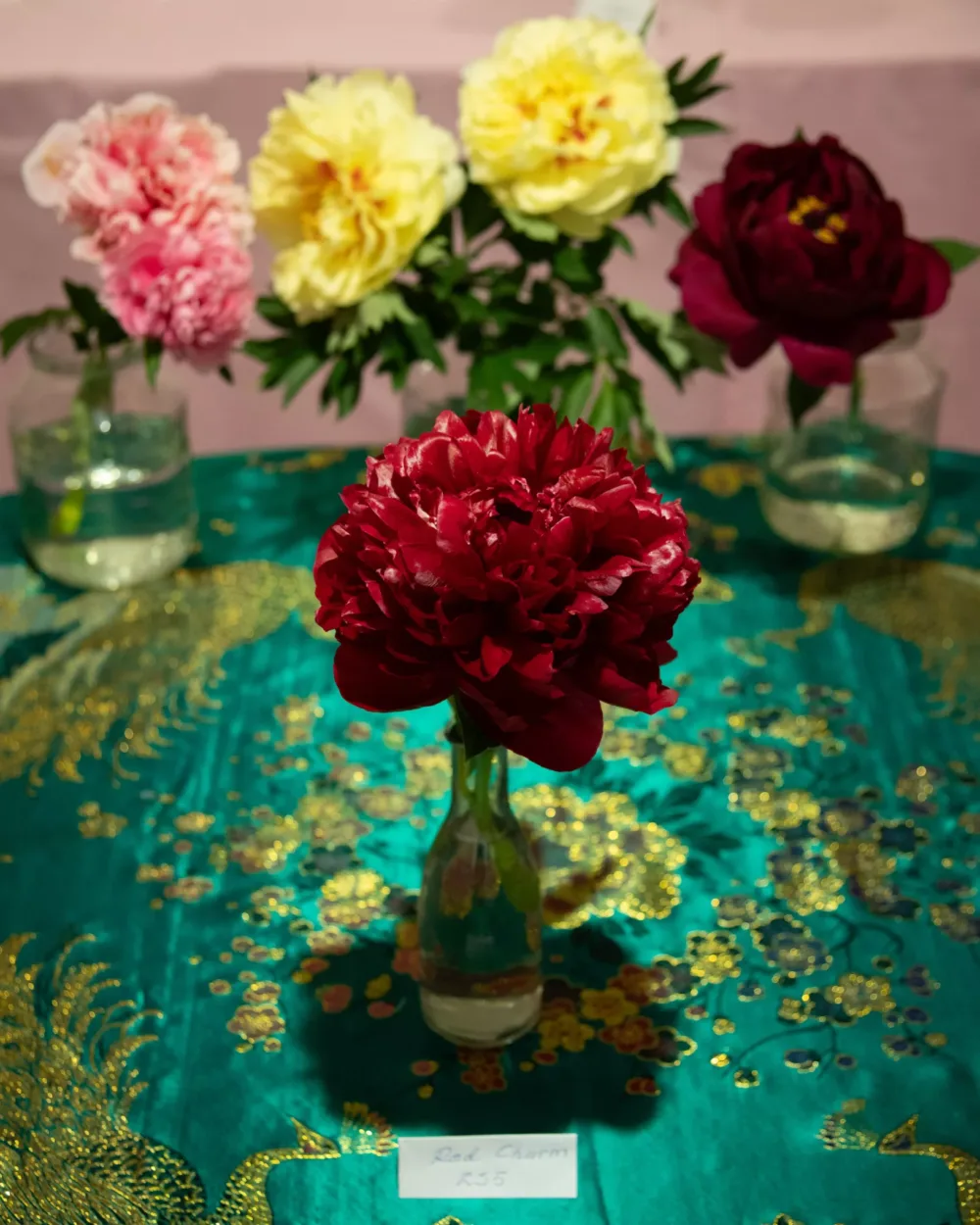 Red Charm - Image 5