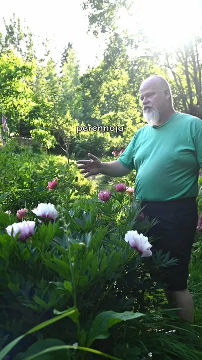 Tule Mikon mukana videomatkalle yhteen hienoimmista näkemistämme pionipihoista itohien parhaaseen kukinta-aikaan! Koko video julkaistaan Youtube-kanavallamme ennen joulua.

#pionienkoti #mikkoreissaa