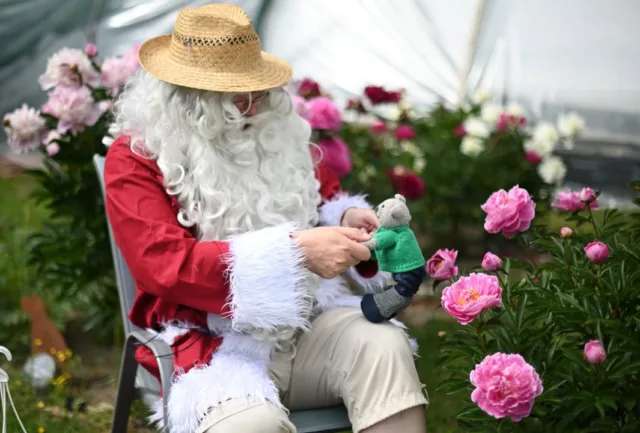 Hyvää joulun jatkoa! Tapaninpäiväajelun sijasta tanssitaan piirileikkiä ystävien kanssa, sillä lunta ei ole maassa lainkaan. Päivä pitenee ja kukkaisa kesä on jo aavistuksen lähempänä.