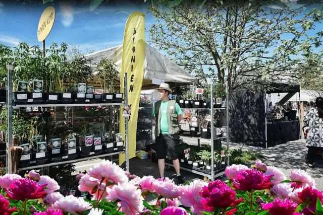 Kevät 🌺🌞! Kevään ensimmäinen myyntitapahtuma Minifarmi ja Kukkamessut Uudessakaupungissa  https://www.facebook.com/minifarmi tänä viikonloppuna.
Jos jotain spessua pionia halajat, kannattaa se varata ennakkoon verkkokaupasta. Tapahtumiin tuomme mukanamme kattavan, mutta hieman pienemmän valikoiman pioneja.Muita tapahtumia toukokuussa:
21.5. Annalan taimitori, Helsinki
23.5. Marketanpuiston kevätmarkkinat, Espoo
23.5. Taimipäivä Seminaarin puutarhalla, RaumaNäiden lisäksi Taivassalon puutarhamme palvelee joka päivä! Verkkokauppa 24/7.