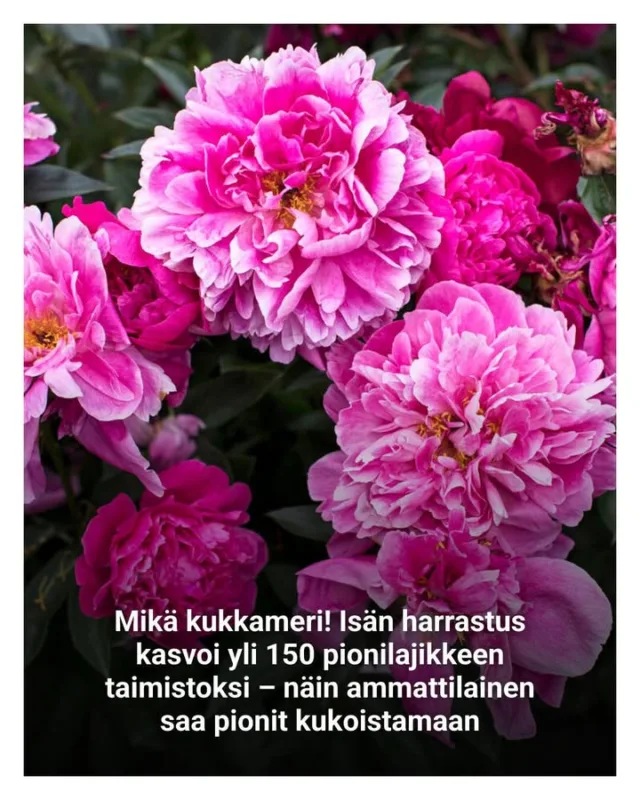 Tunnelmallinen juttu meistä ja toiminnastamme. 😊🌷