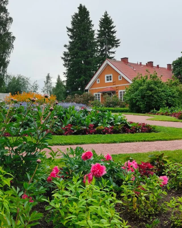 Kesäsateista huolimatta meillä oli jälleen mukava ilta Hyötykasviyhdistyksen vieraana Helsingin Annalassa Pioni&Pelargoni -päivässä.Pioniluentoa kuuntelemaan tuli etenkin säähän nähden mukavasti porukkaa, kiitos teille!Tarhapionit kukoistivat Annalassa kauniisti ja paljon pioneja on nupulla. Näillä kulmilla näemme mitä luultavasti seuraavaksi ensi kevään taimitori merkeissä. 🌷Vielä tulevana lauantaina olemme pionivalikoiman kera Kotkassa pionipuiston kesäpäivässä. Muuten alkavatkin katseet hiljalleen kääntyä kohti omia pionipäiviämme meillä Taivassalossa.#pionienkoti #pionijapelargoni #hyötykasviyhdistys