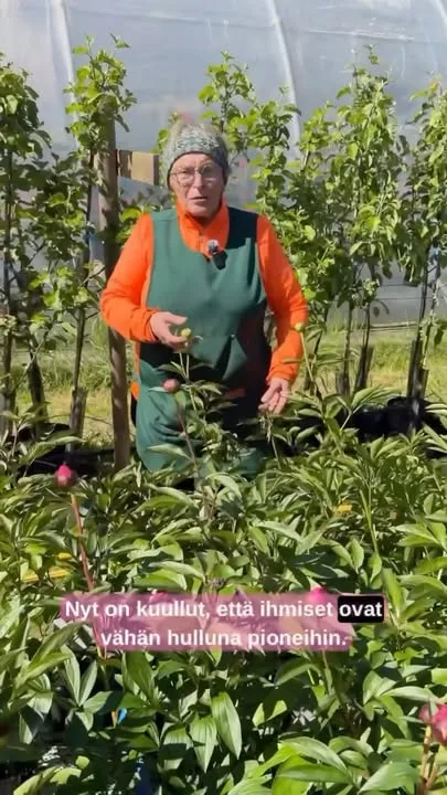 Onpa komiat istutusohjeet oikein Oulun murteella. Turun murrealueen edustaja kuuntelee oikein mielellään näin leppoisaa esitelmää. Kiitos Salme!