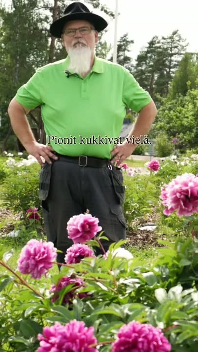 Pionien pääkukinta jatkuu meillä vielä noin viikon ajan. 🌷Pionipäivinä 5.7. saakka olemme auki joka päivä klo 9-18.6.7. alkaen jälleen toistaiseksi kesän normaalit aukioloaikamme: arkisin klo 9-17, la 9-15, su 10-15.Pionien Koti on Taivassalossa, osoite Hussintie 15. Tervetuloa!#pionienkoti #pionipäivät #pionit #peonies