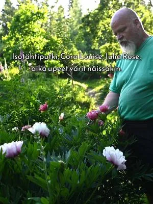 Tule Mikon mukana videomatkalle yhteen hienoimmista näkemistämme pionipihoista itohien parhaaseen kukinta-aikaan! Koko video julkaistaan Youtube-kanavallamme ennen joulua. #pionienkoti #mikkoreissaa